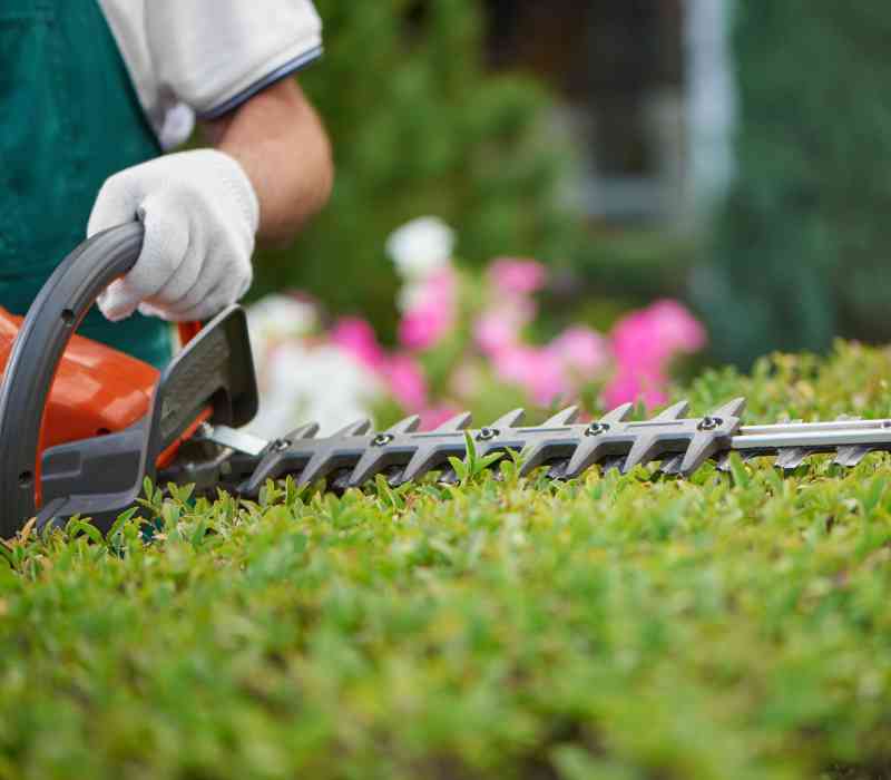 Heckenpflege - ein Service von Baum- und Gartenpflege Frey